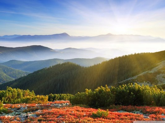 134812__morning-sunshine-with-fog_p