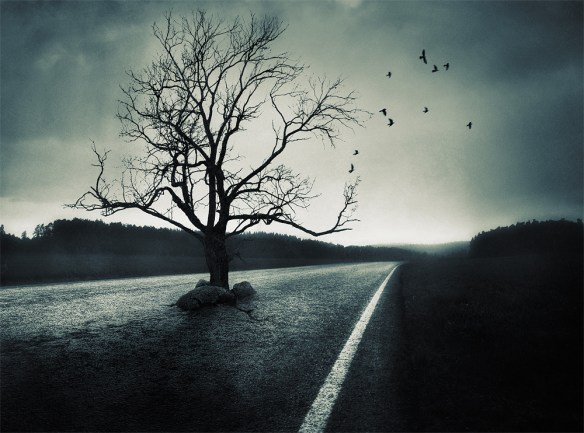 dark road
