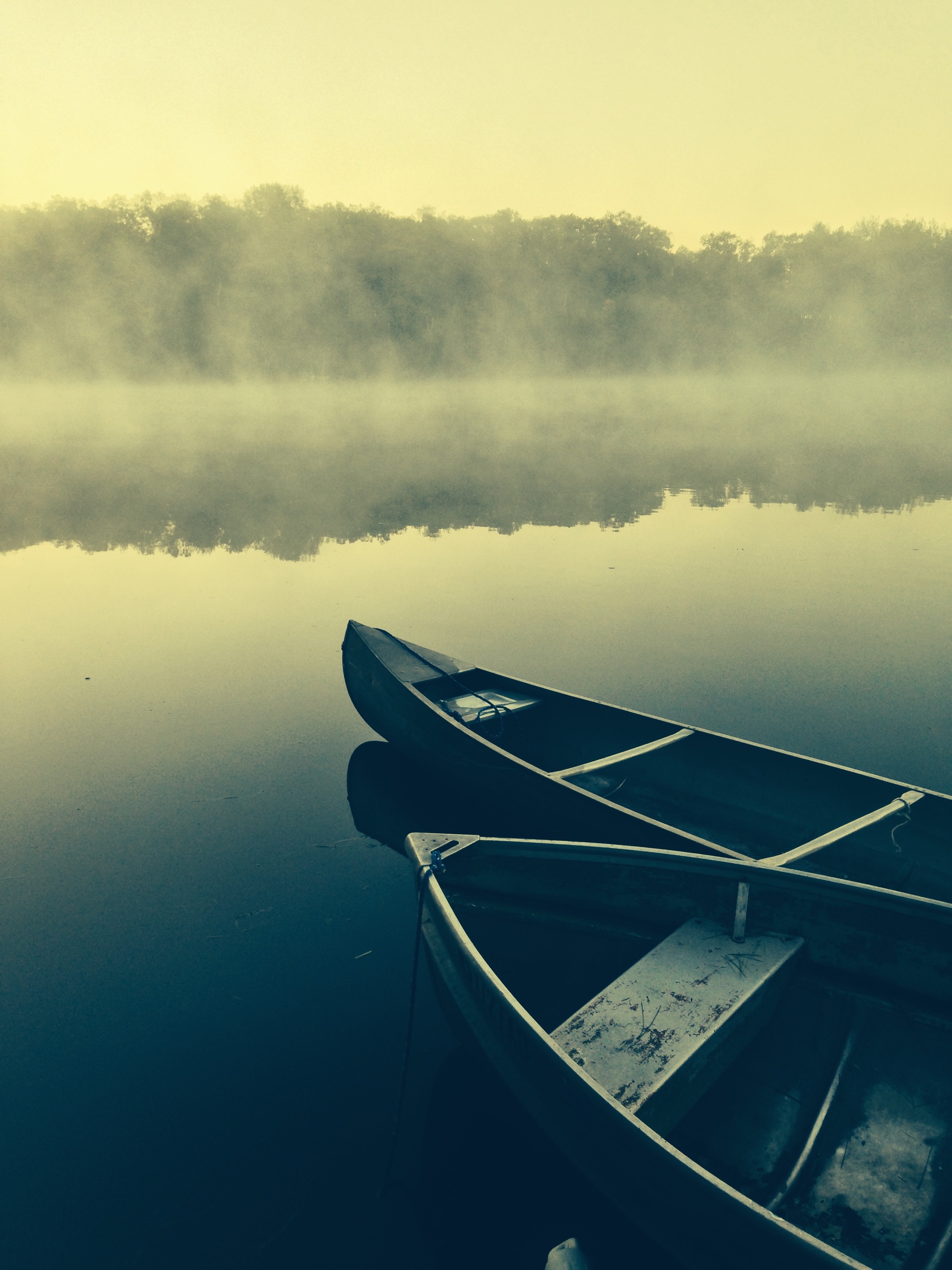 andrew-montgomery-40603-unsplash