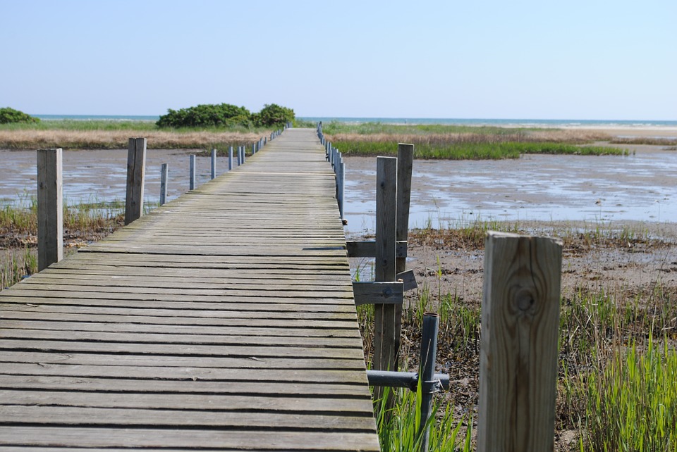 bridge-589171_960_720