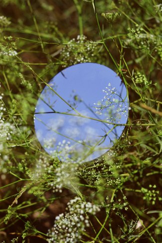 dmitry-bayer-744523-unsplash