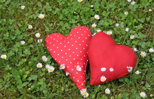 heart-4309375_960_720