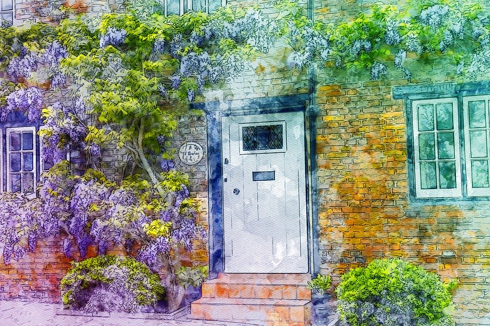 wisteria-4911412_960_720