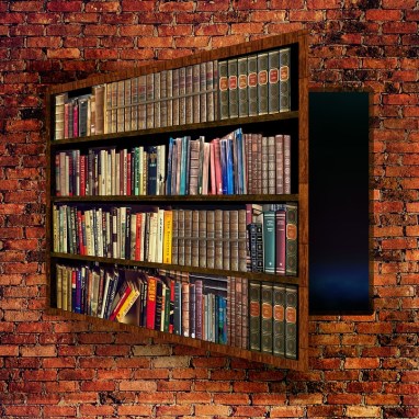 bookcase-4009959_960_720